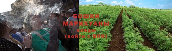 трава Арсеньев
