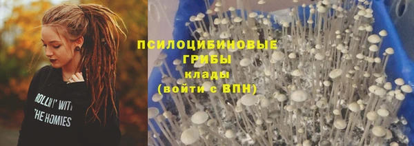 таблы Армянск