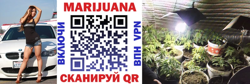 Бошки марихуана THC 21%  магазин  наркотиков  мега ссылки  Сураж 