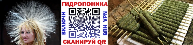 Бошки Шишки индика Сураж